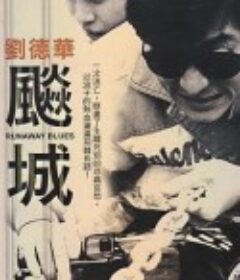 飙城 飆城            (1989)