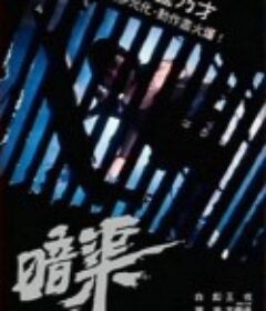 暗渠            (1983)