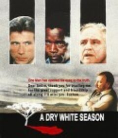血染的季节 A Dry White Season            (1989)