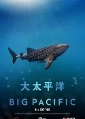 大太平洋            (2017)
