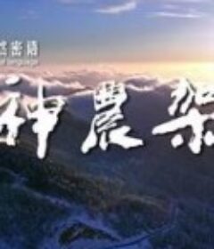 自然密语：神农架            (2017)