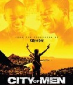 人类之城 Cidade dos Homens            (2007)
