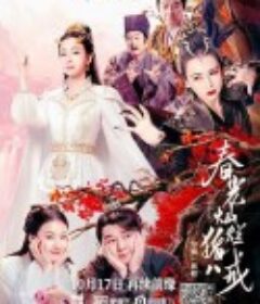 春光灿烂猪八戒            (2021)