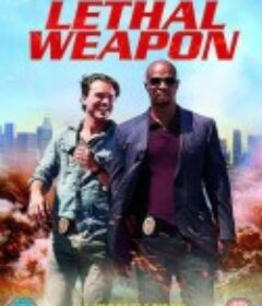 致命武器 第二季 Lethal Weapon Season 2            (2017)