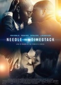 时栈中的指针 Needle in a Timestack            (2021)