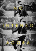 热情的当下 No Intenso Agora            (2017)