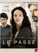 过往 Le Passé            (2013)