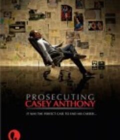 控告凯西·安东尼 Prosecuting Casey Anthony            (2013)