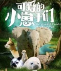 可爱的小崽子们 The Wonderful World of Baby Animals            (2019)