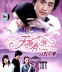 天若有情            (2005)