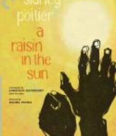 阳光下的葡萄干 A Raisin in the Sun            (1961)