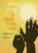 阳光下的葡萄干 A Raisin in the Sun            (1961)