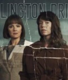 霍林顿大道 Hollington Drive            (2021)