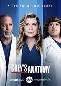 实习医生格蕾 第十八季 Grey's Anatomy Season 18            (2021)