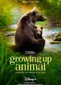 动物成长 Growing Up Animal            (2021)