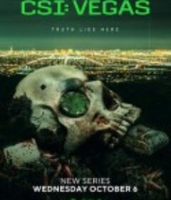 犯罪现场调查：维加斯 第一季 CSI: Vegas Season 1            (2021)