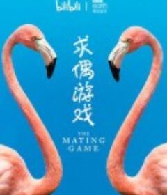 求偶游戏 The Mating Game            (2021)