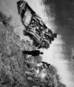 慰问            (2010)