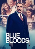 警察世家 第十二季 Blue Bloods Season 12            (2021)