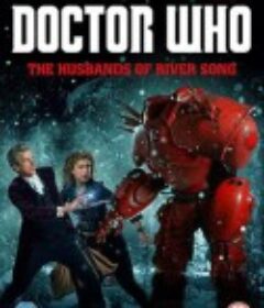 神秘博士：瑞芙·桑恩的丈夫们 Doctor Who: The Husbands of River Song            (2015)