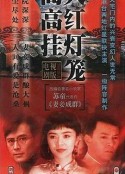 大红灯笼高高挂 大紅燈籠高高掛            (1992)