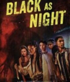 暗黑之夜 Black as Night            (2021)