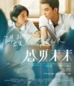 盛夏未来            (2021)