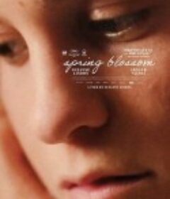 十六个春天 16 Printemps            (2020)