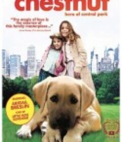 切斯纳特：中央公园的英雄 Chestnut: Hero of Central Park            (2004)