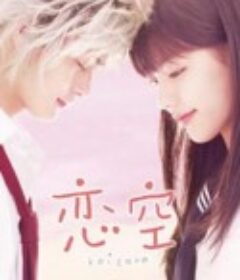 恋空            (2008)