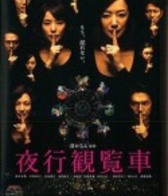 夜行摩天轮 夜行観覧車            (2013)