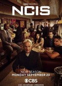 海军罪案调查处 第十九季 NCIS: Naval Criminal Investigative Service Season 19            (2021)