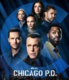 芝加哥警署 第九季 Chicago P.D. Season 9            (2021)