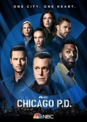 芝加哥警署 第九季 Chicago P.D. Season 9            (2021)