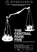 中央公园五罪犯 The Central Park Five            (2012)