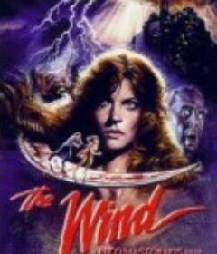 腥风血雨 The Wind            (1987)