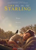 八哥 The Starling            (2021)