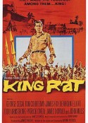 鼠王 King Rat            (1965)