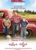 圣诞节回家 Christmas in Canaan            (2009)