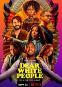 亲爱的白种人 第四季 Dear White People Season 4            (2021)