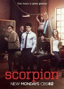 天蝎 第一季 Scorpion Season 1            (2014)