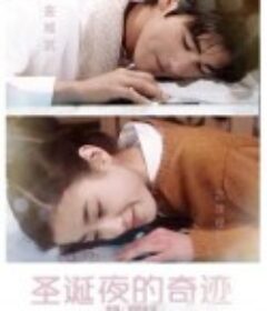 圣诞夜的奇迹 聖夜の奇跡            (1995)