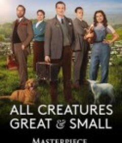 万物生灵 第二季 All Creatures Great and Small Season 2            (2021)