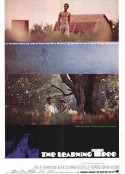 常识树 The Learning Tree            (1969)