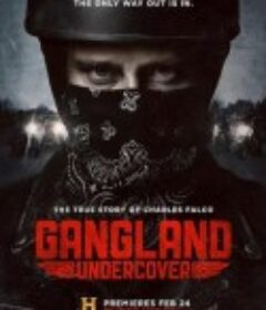 黑帮卧底 1-2季 Gangland Undercover Season 1-2          (2015-2016)
