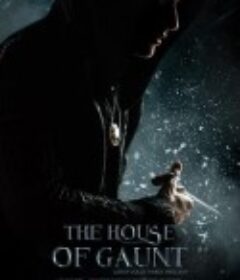 冈特家族：伏地魔起源 The House of Gaunt: Lord Voldemort Origins            (2021)