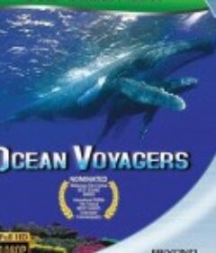 动物星球系列：鲸奇之旅 Ocean Voyagers            (2007)
