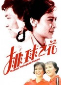排球之花            (1980)