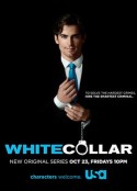妙警贼探 第一季 White Collar Season 1            (2009)
