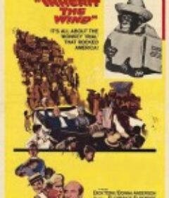 风的传人 Inherit the Wind            (1960)